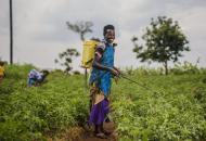 Women for Women International - Rwanda program participants work on their cooperative farm. Photo: Serrah Galos