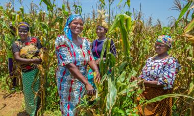 CSW63 Panel: "Social Protection and Cash Transfers"