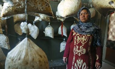 Nesa at her mushroom farm. Photo credit: Rada Akbar