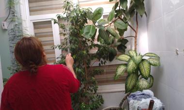 Sazgar, a participant in the Iraq program, stands in front of a wall with plants, tending to them