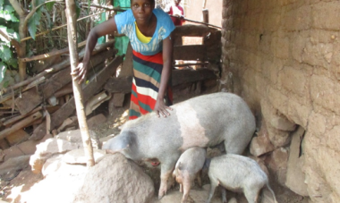 woman pictured with pigs (Mauriri)